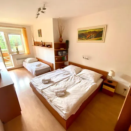 Apartment Tatran *